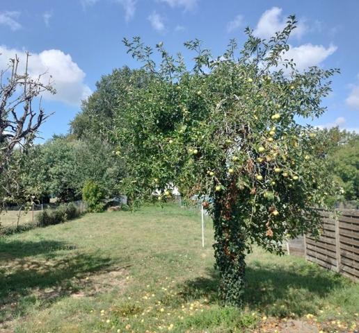 Maison traditionnelle Montoir-de-Bretagne 74 m²