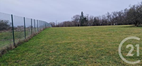 Terrain à vendre  3000 m2 SAMPANS - 39