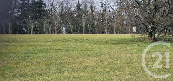 Terrain à vendre  3000 m2 SAMPANS - 39