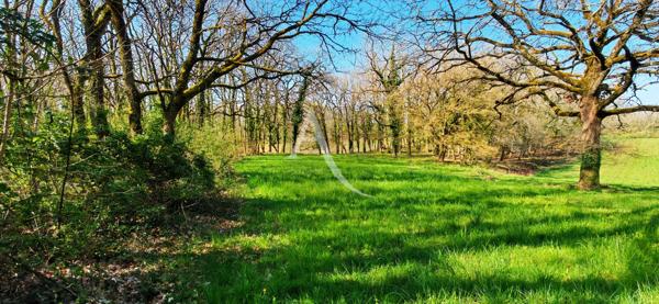 Hangar agricole 270 m2