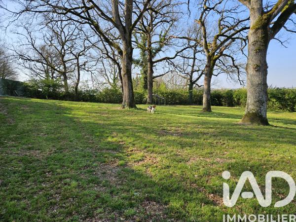 Maison à vendre 7 pièces 238 m² Angeville