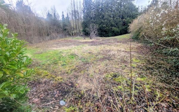 Terrain à vendre    Royaucourt-et-Chailvet