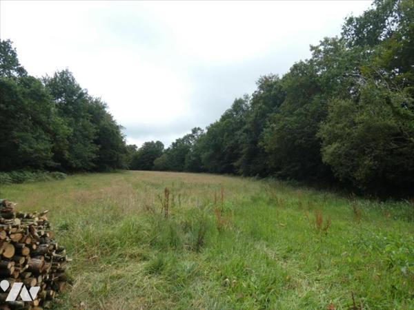 LOQUEFFRET- Terrain à bâtir