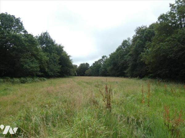 LOQUEFFRET- Terrain à bâtir