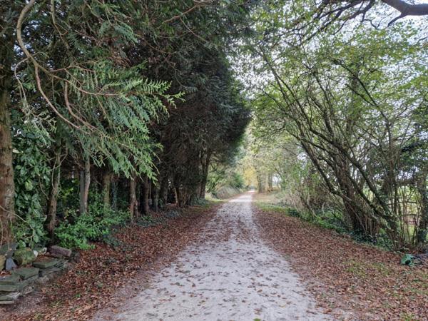 Maison 5 pièces - 104 m² Exclusivité efficity