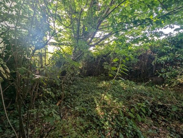 Maison à vendre 159 000 € Saint-Pierre-des-Corps 3 p 28 m² DPE G