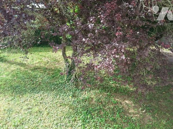 A 15 MNS DE BLOIS, PAVILLON DE BONNE CONSTRUCTION, TERRAIN 802 M²