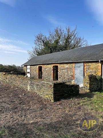 Location maison La Chapelle Glain : 600 € - AJP Immobilier Châteaubriant