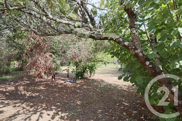 Maison à vendre  6 pièces - 106 m2 VILLENAVE D ORNON - 33