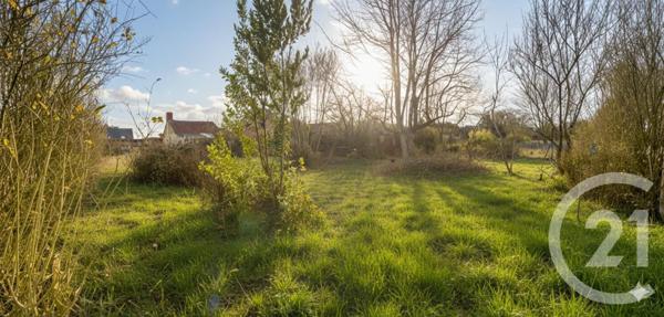 Terrain à vendre  1072 m2 HAZEBROUCK - 59