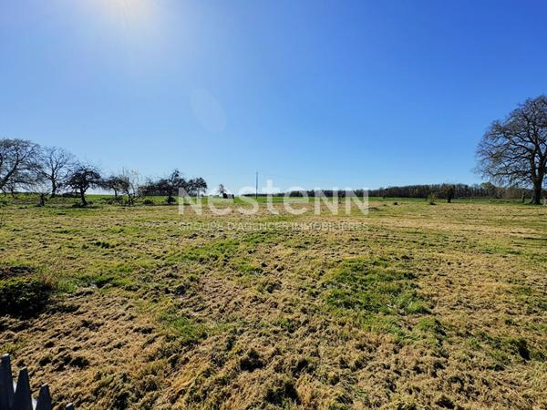 CHARMANTE LONGERE RENOVEE AVEC 4 CHAMBRES ET DEPENDANCES