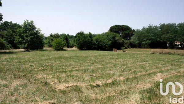 Terrain à vendre 2 002 m² Gondrin