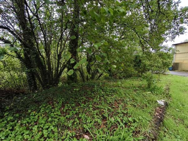 Maison à vendre à Roannes-Saint-Mary dans le Cantal (15220), ref : 059-2028