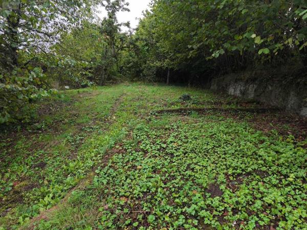 Maison à vendre à Roannes-Saint-Mary dans le Cantal (15220), ref : 059-2028