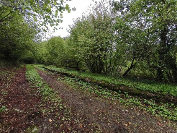 Maison à vendre à Roannes-Saint-Mary dans le Cantal (15220), ref : 059-2028