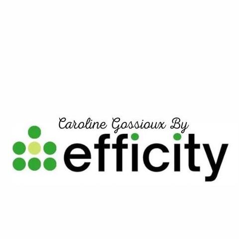 Maison 7 pièces - 212 m² Exclusivité efficity