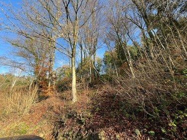 Terrain de loisirs - Bois - Etang à vendre à La Vespière Friardel dans le Calvados (14290), ref : 14058-1568