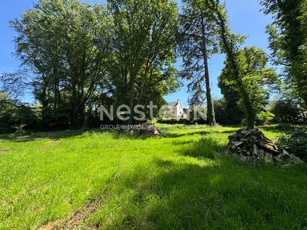 Maison de caractère à vendre à  Locminé - 3 chambres -  Parc de 8200 m²