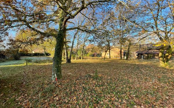 Terrain à vendre    Magescq