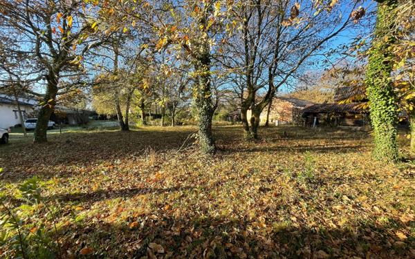 Terrain à vendre    Magescq