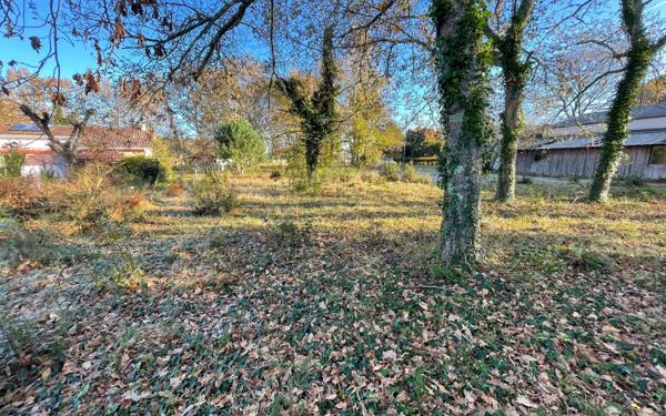 Terrain à vendre    Magescq