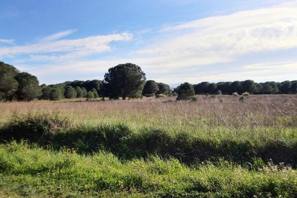 À VENDRE TERRAIN CONSTRUCTIBLE VIABILISÉ