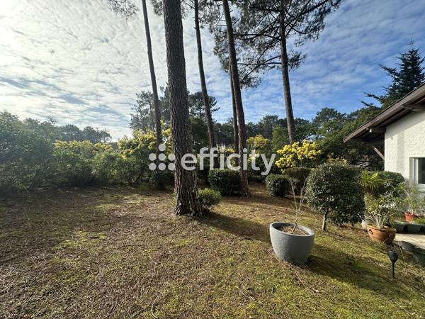 Maison 5 pièces - 145 m² Bien prestige