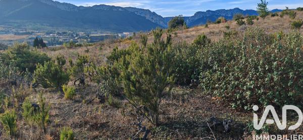Terrain à vendre 5 805 m² Duilhac-sous-Peyrepertuse