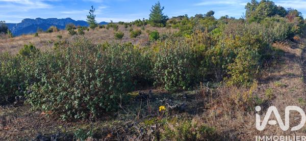 Terrain à vendre 5 805 m² Duilhac-sous-Peyrepertuse