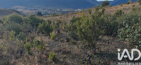 Terrain à vendre 5 805 m² Duilhac-sous-Peyrepertuse
