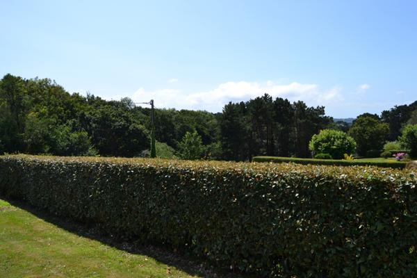 Plougasnou (29630) Plougasnou Kerbabu, maison de plain pied avec 4 chambres et 2 salles d'eau.