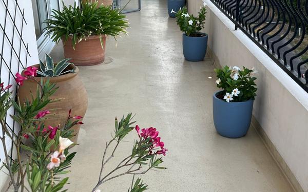 Appartement à vendre    4 pièces • 143 m2 Toulouse