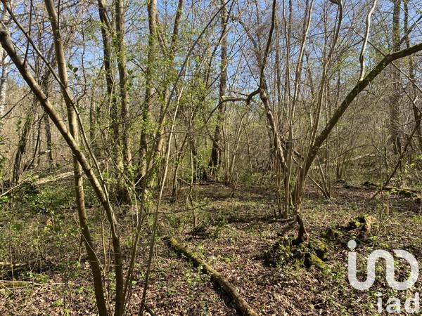 Terrain à vendre 7 618 m² Saint-Pierre-lès-Nemours