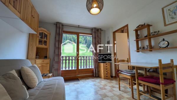 Appartement 2 Pièces avec balcon exposé plein Sud sans vis à vis avec vue imprenable sur les montagnes