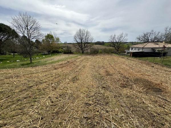Terrain à vendre |  Montastruc-la-Conseillère |  3100 m²