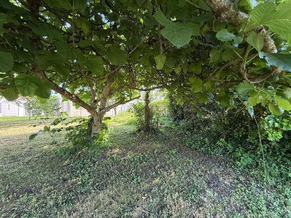 Saint-Georges-de-Didonne (17110) 

À Saint-Georges-De-Didonne, terrain autorisant la construction à vendre