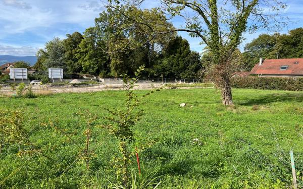 Terrain à vendre    Nernier