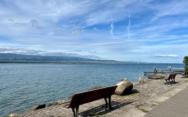 Terrain à vendre    Nernier