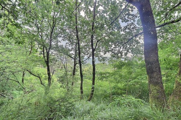 A vendre, Labegude, terrain à batir, vue exceptionnelle, 978 mm²