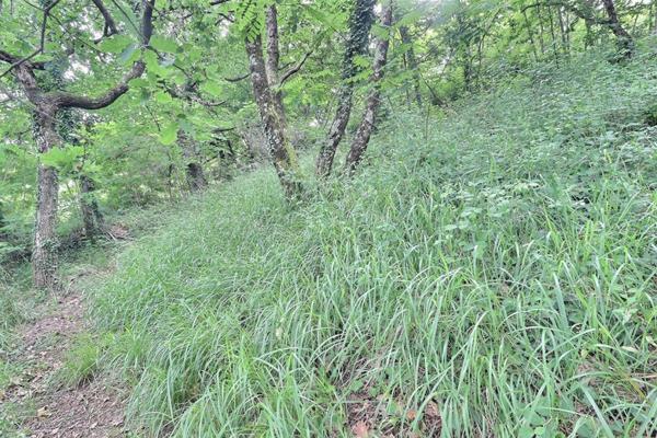 A vendre, Labegude, terrain à batir, vue exceptionnelle, 978 mm²