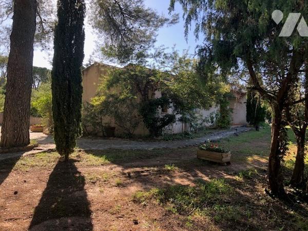 EXCLUSIVITE VIDAUBAN LES CHAUMES – VILLA DE PLAIN-PIED AVEC PISCINE ET TERRAIN DE 2 000 M²