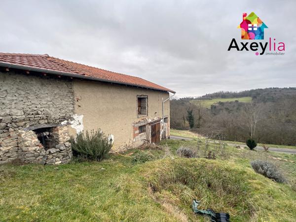 Saint-Germain-Laval (42260) A VENDRE - SECTEUR SAINT-GERMAIN-LAVAL - ANCIEN CORPS DE FERME AVEC MAISON D'HABITATION ET DÉPENDANCES DIVERSE