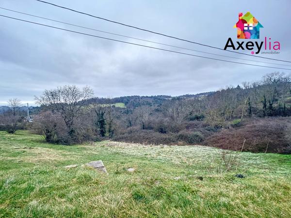 Saint-Germain-Laval (42260) A VENDRE - SECTEUR SAINT-GERMAIN-LAVAL - ANCIEN CORPS DE FERME AVEC MAISON D'HABITATION ET DÉPENDANCES DIVERSE