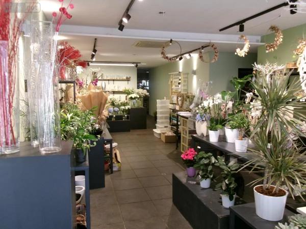 Location - Fonds et/ou murs commerciaux Béthune 62400 120 m 2