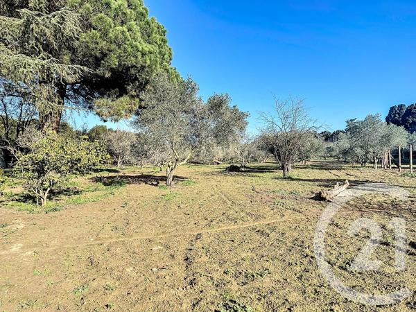 Maison à vendre  6 pièces - 252 m 2   ELNE  - 66