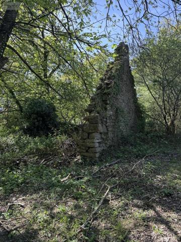 Maison à vendre à Saint-Gilles-du-Mené dans les Côtes-d'Armor (22330), ref : 22115-3547