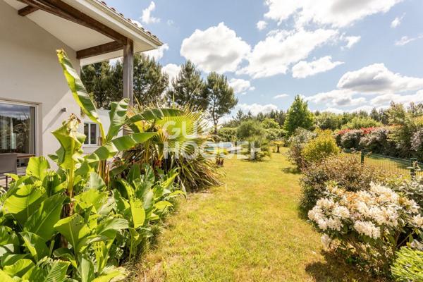 Venez gouter à la quiétude !