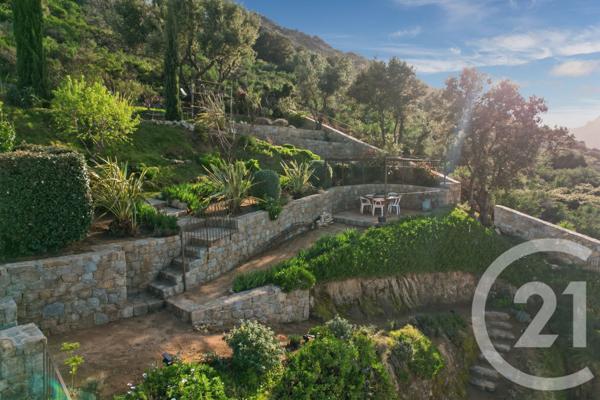 Maison à vendre  6 pièces - 315 m2 MONTICELLO - 202