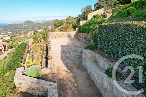 Maison à vendre  6 pièces - 315 m2 MONTICELLO - 202