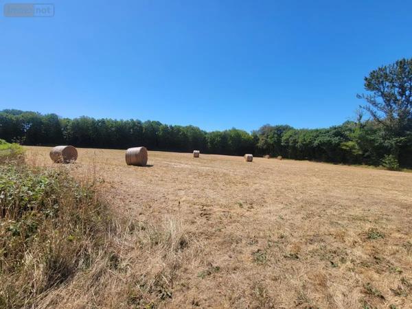 Achat - Maison Gourin 56110 4 pièces 91 m 2 17480 m 2